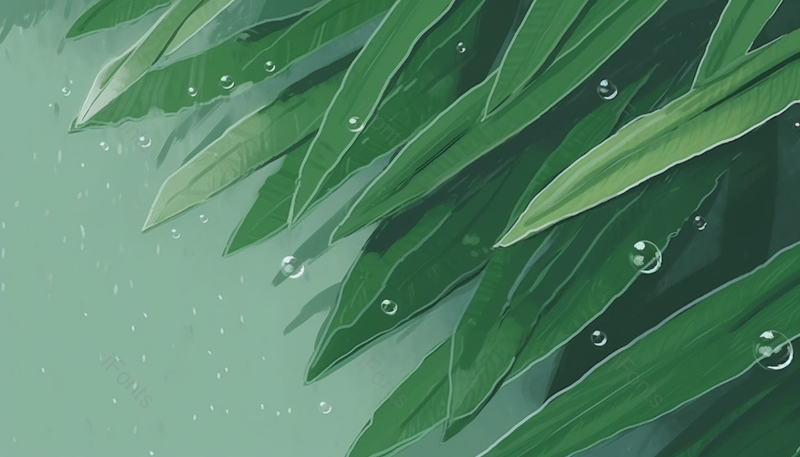 文艺|清新